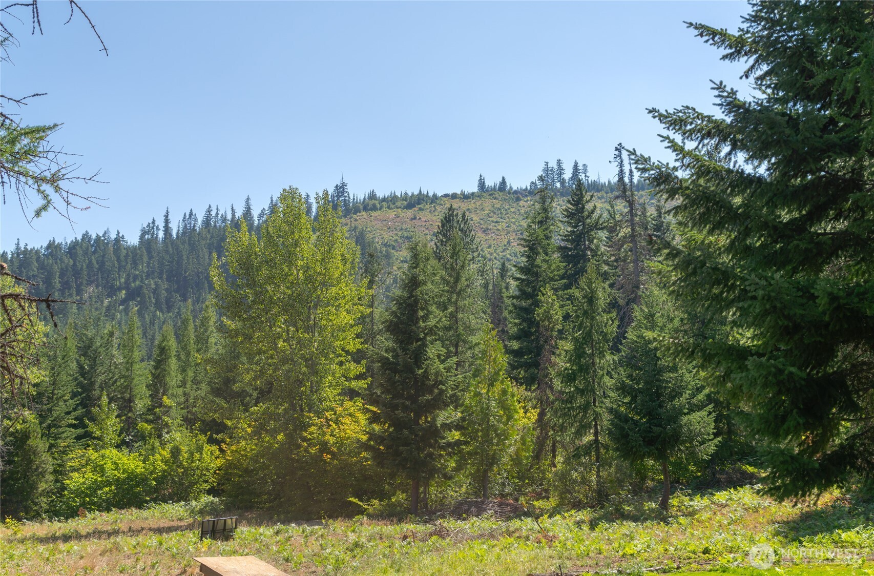 190 Tumble Creek Drive Property Photo 9