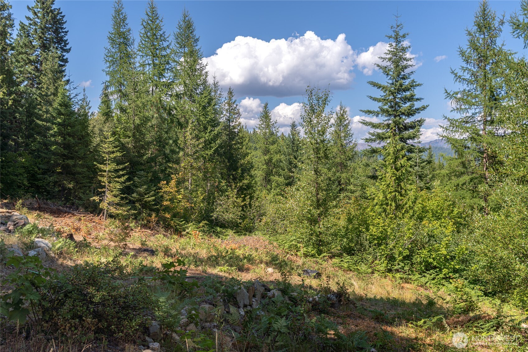 190 Tumble Creek Drive Property Photo 12