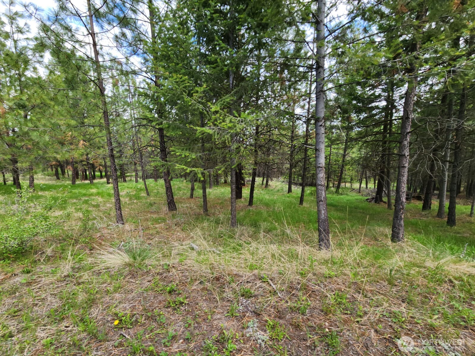330 Bench Creek Road Property Photo 14