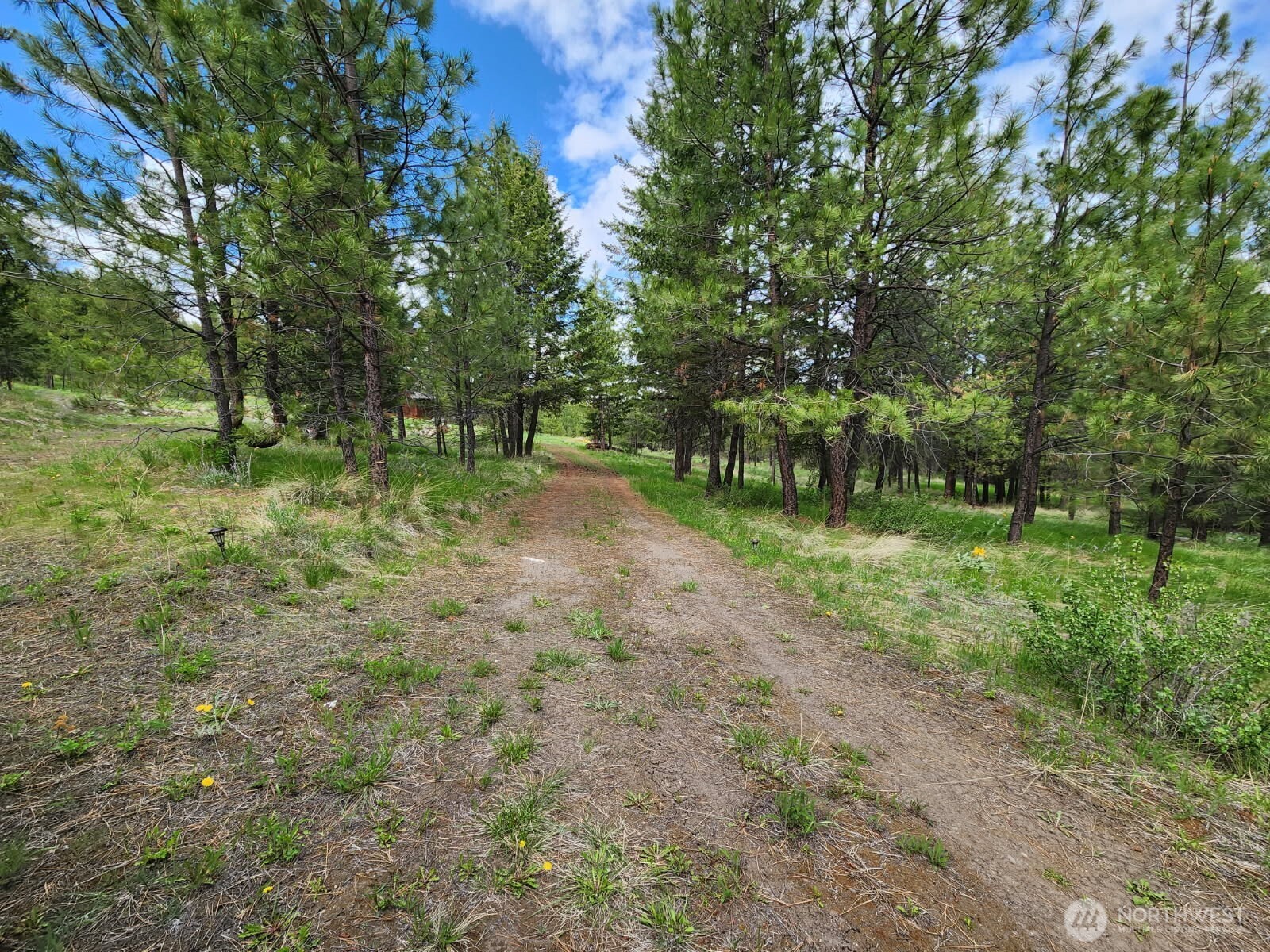 330 Bench Creek Road Property Photo 15