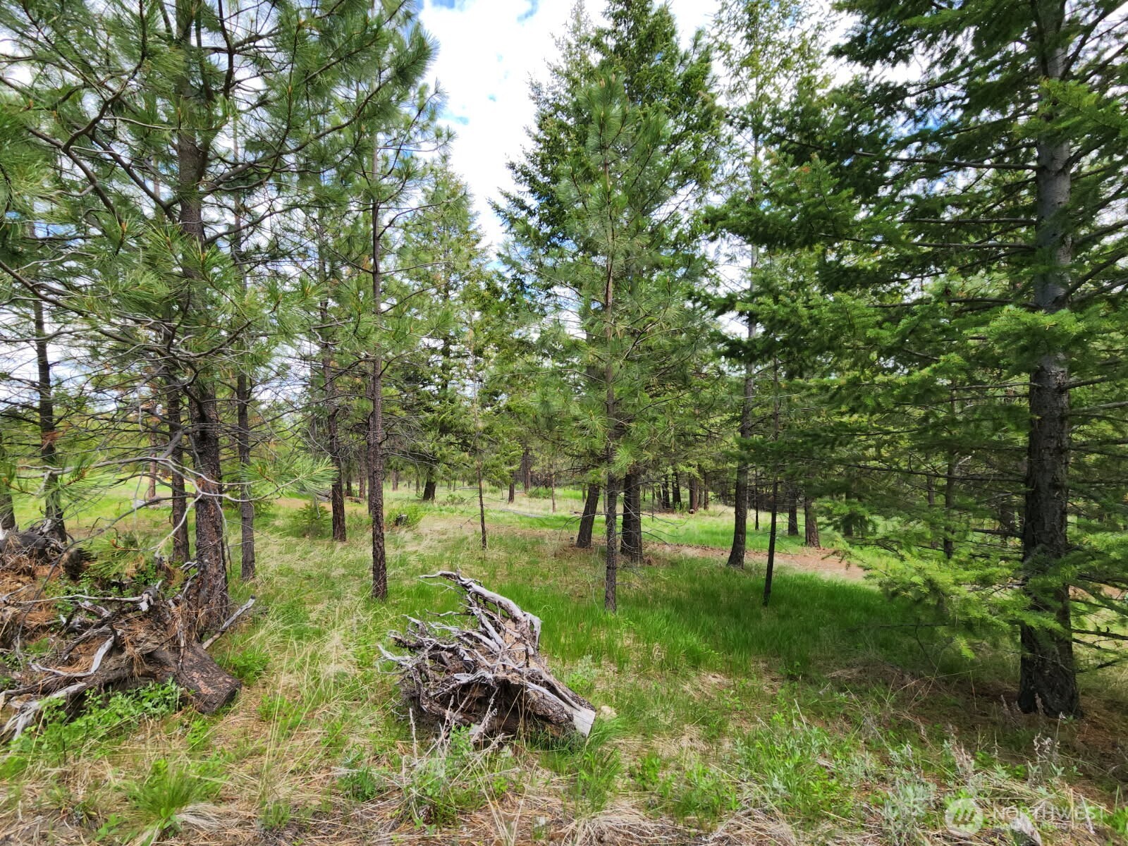 330 Bench Creek Road Property Photo 18