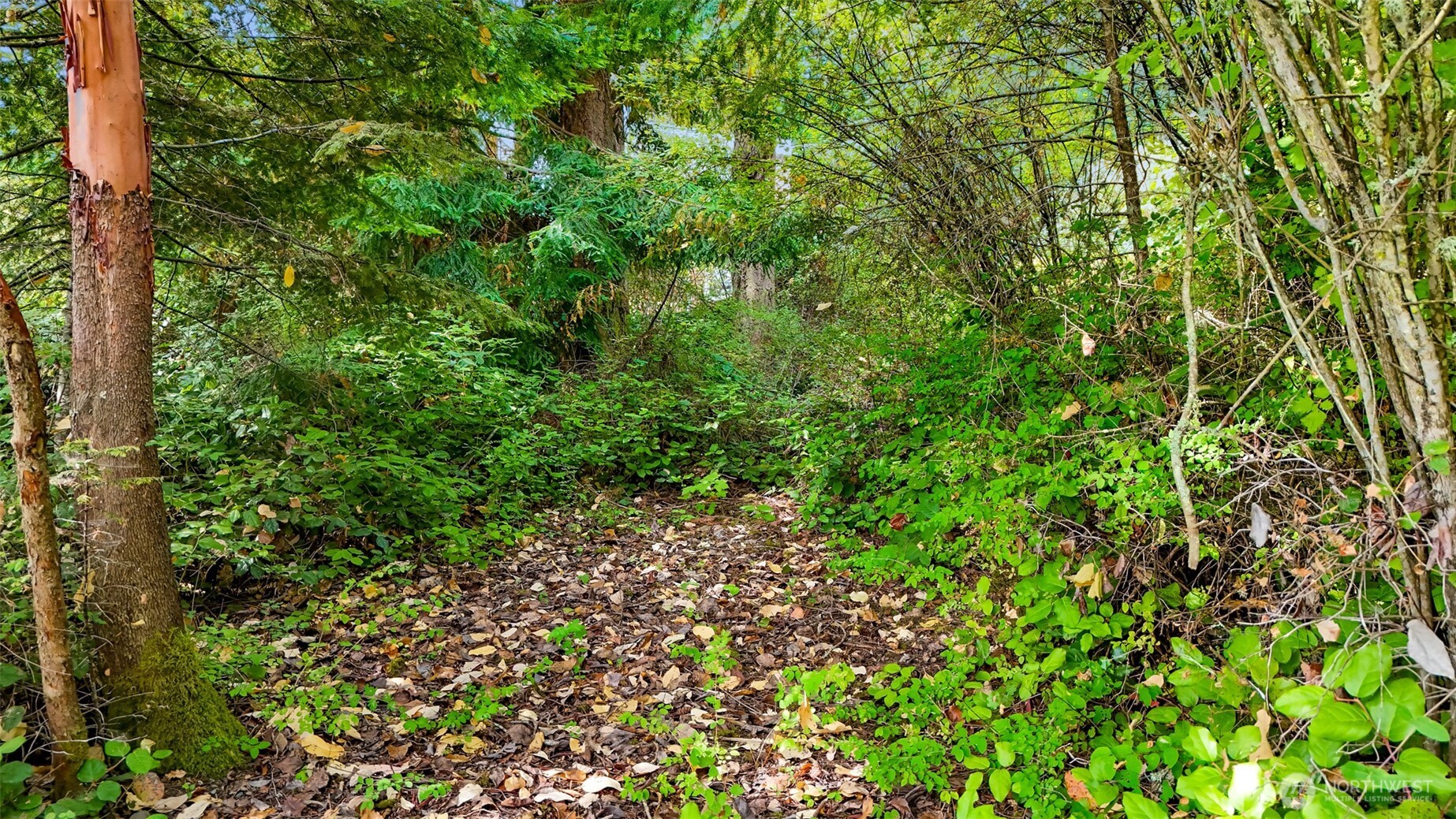 179 Harrington Road Property Photo 15