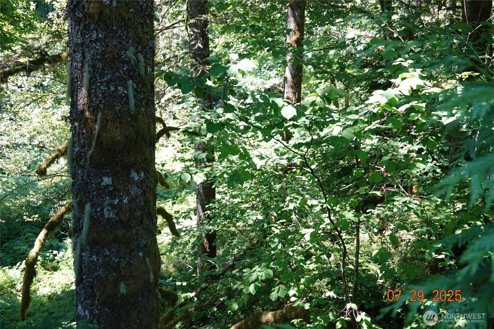 1 Duncan Creek Road Property Photo 3