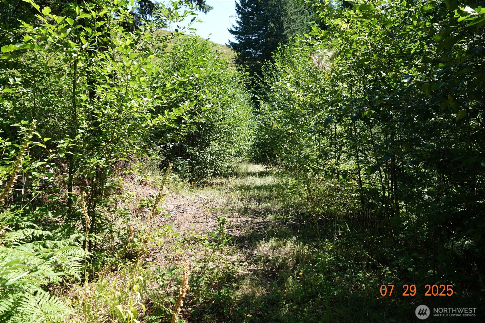 1 Duncan Creek Road Property Photo 5