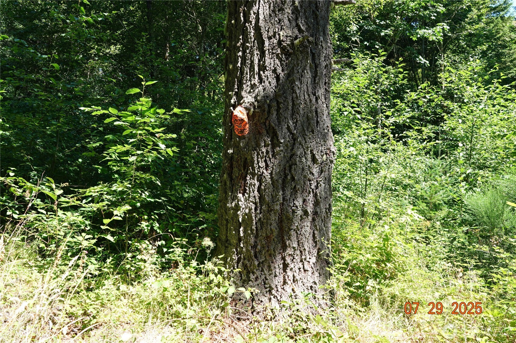 1 Duncan Creek Road Property Photo 7