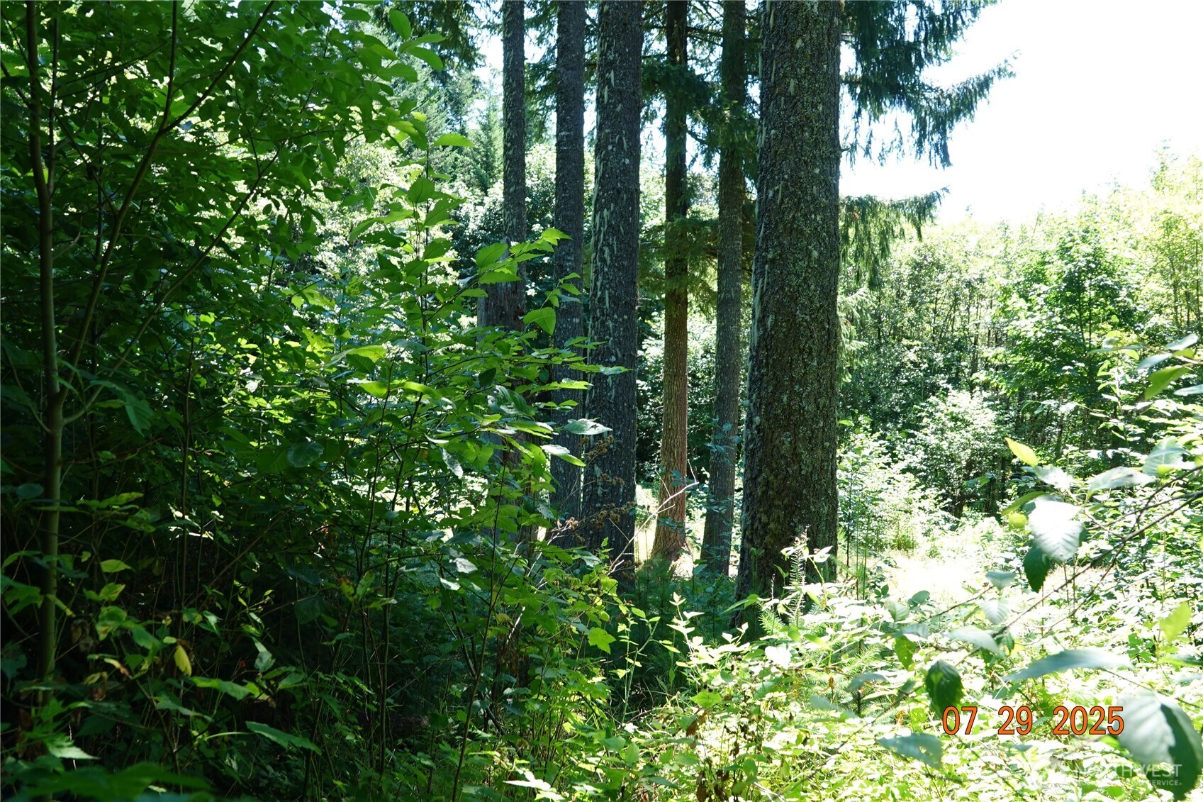 1 Duncan Creek Road Property Photo 8