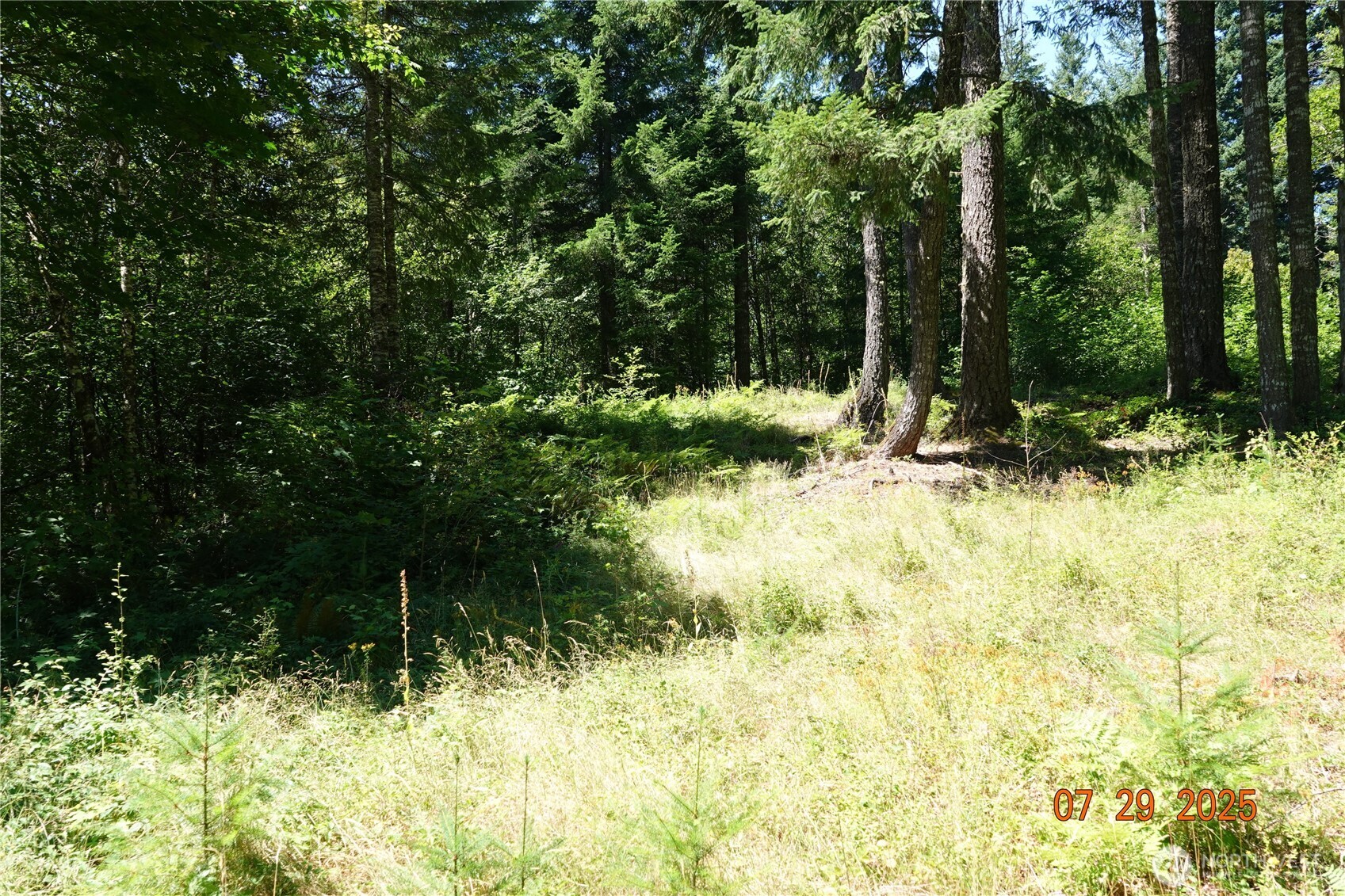 1 Duncan Creek Road Property Photo 9