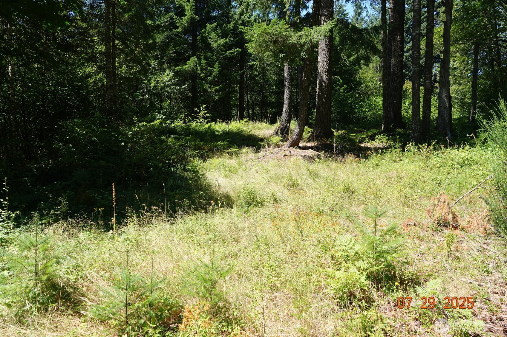 1 Duncan Creek Road Property Photo 10