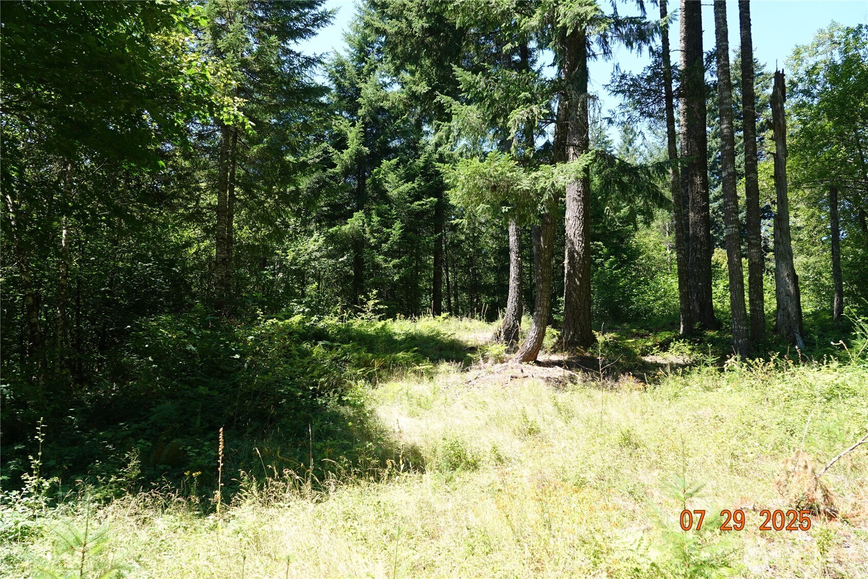 1 Duncan Creek Road Property Photo 11