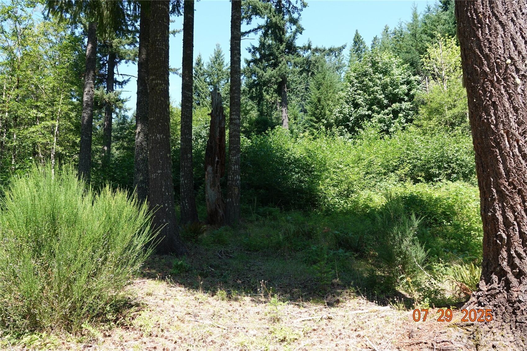 1 Duncan Creek Road Property Photo 12