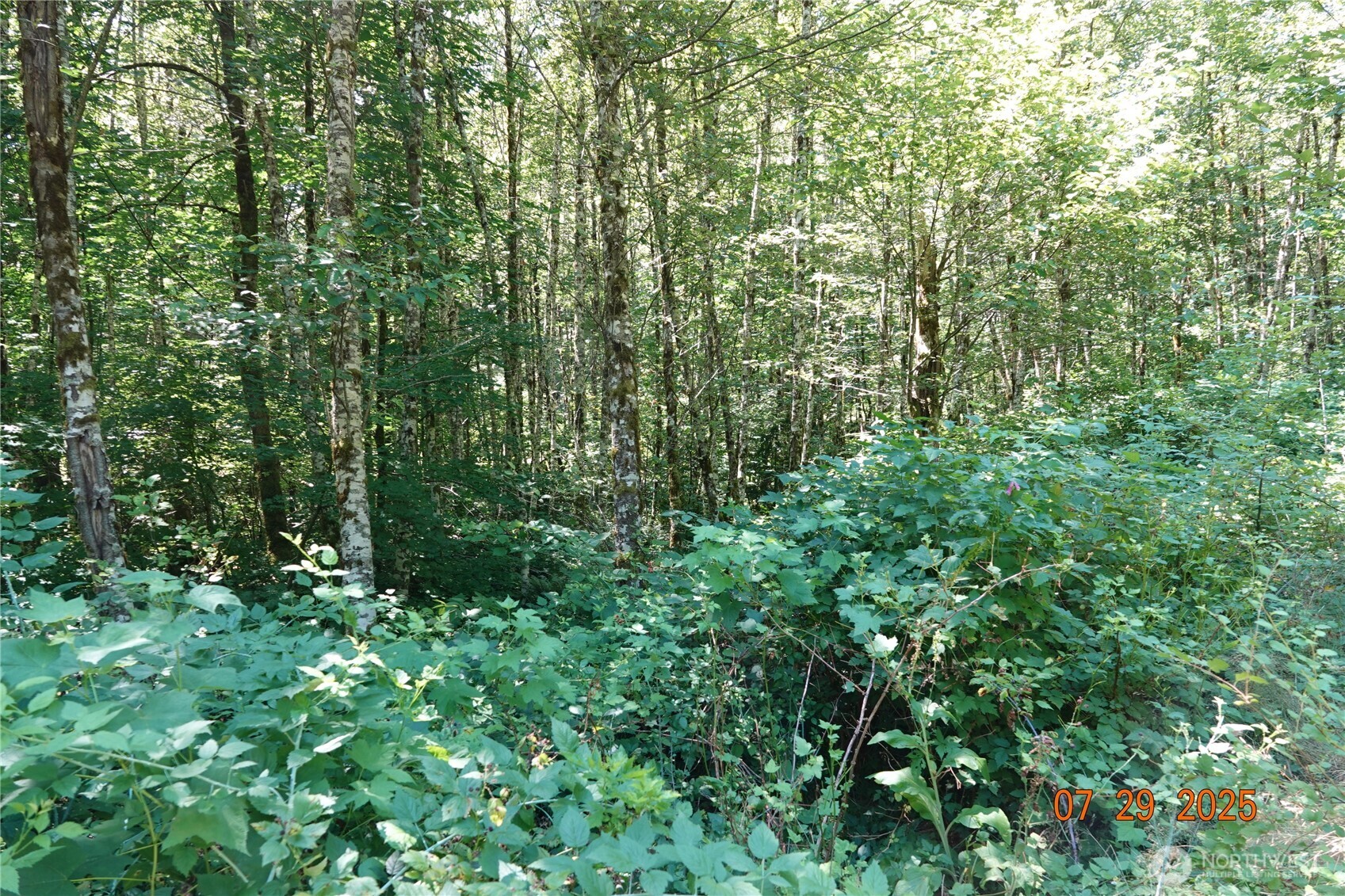 1 Duncan Creek Road Property Photo 13