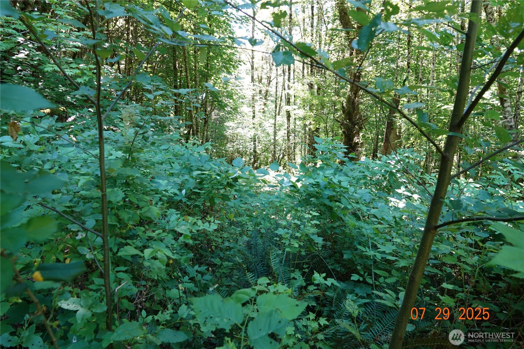 1 Duncan Creek Road Property Photo 14