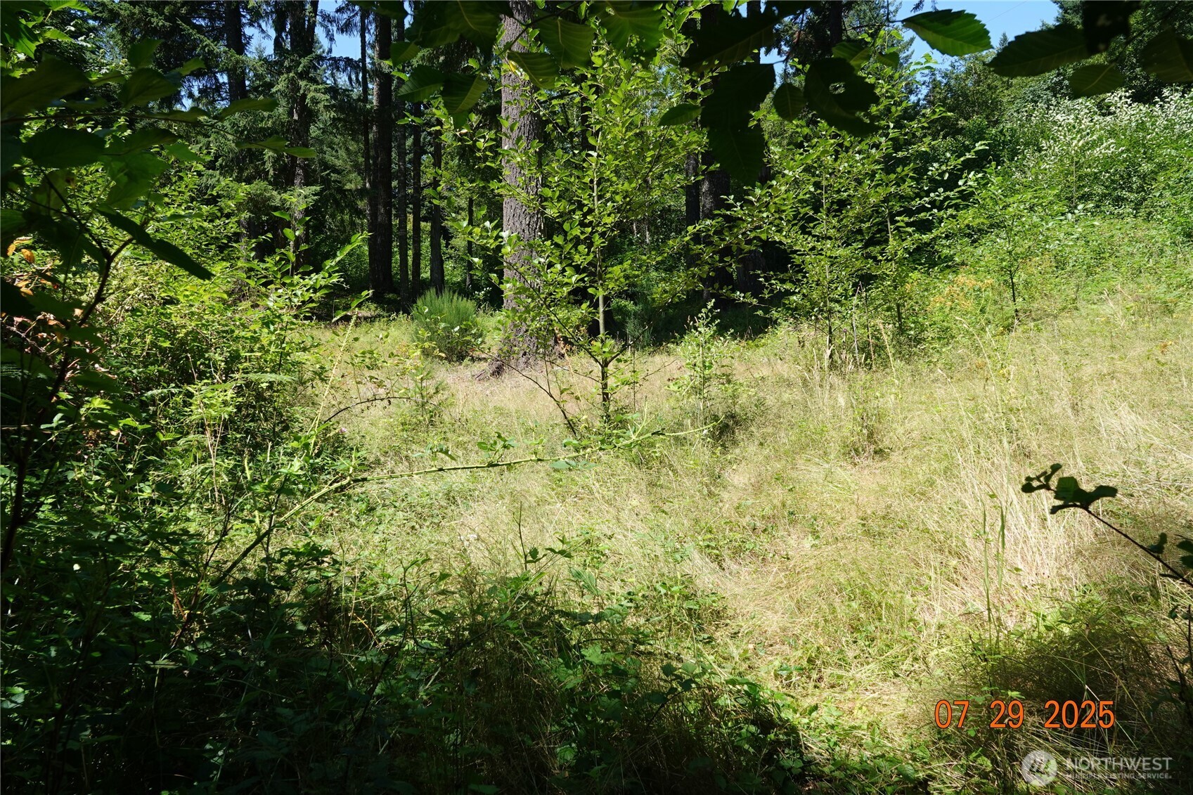 1 Duncan Creek Road Property Photo 15