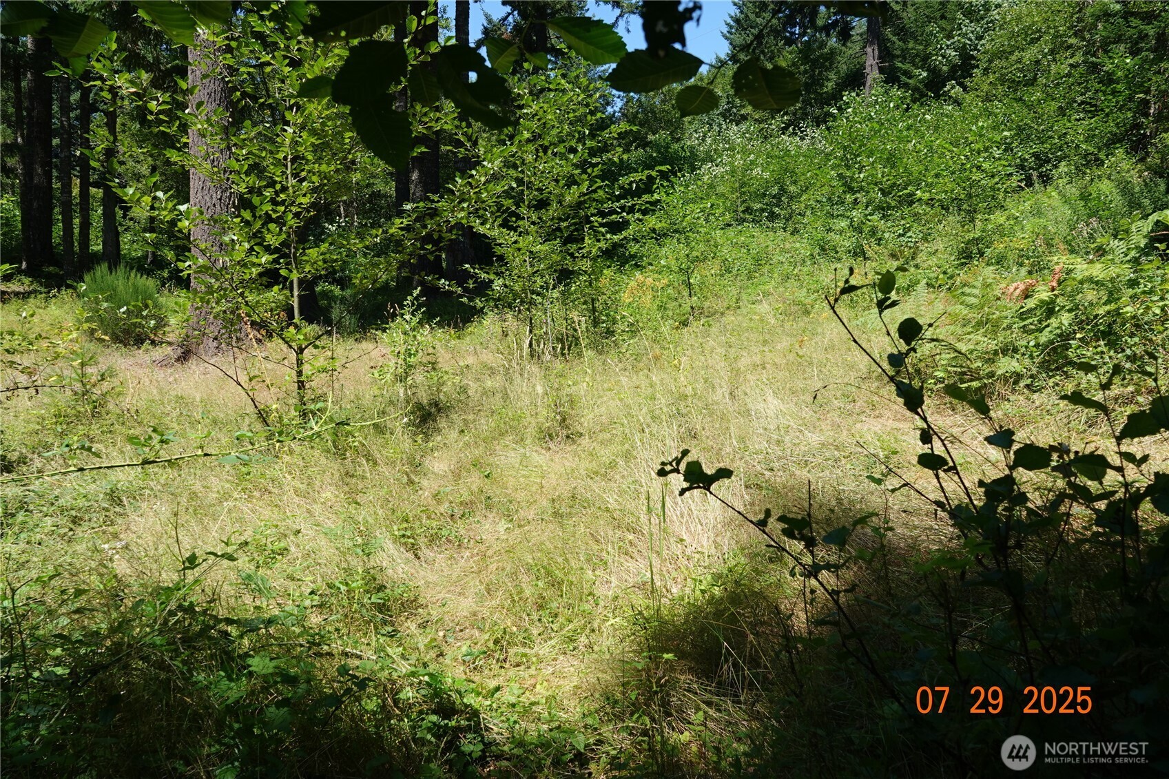 1 Duncan Creek Road Property Photo 16