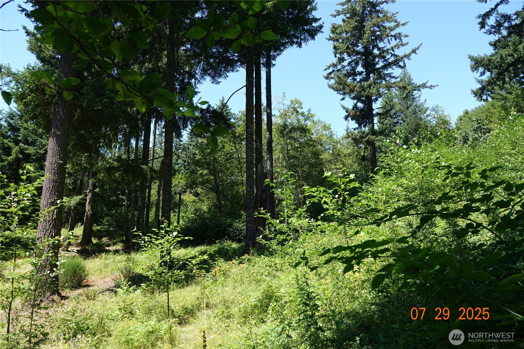 1 Duncan Creek Road Property Photo 17