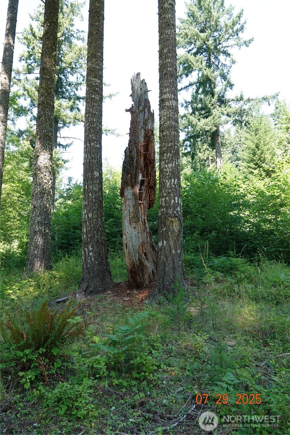 1 Duncan Creek Road Property Photo 18