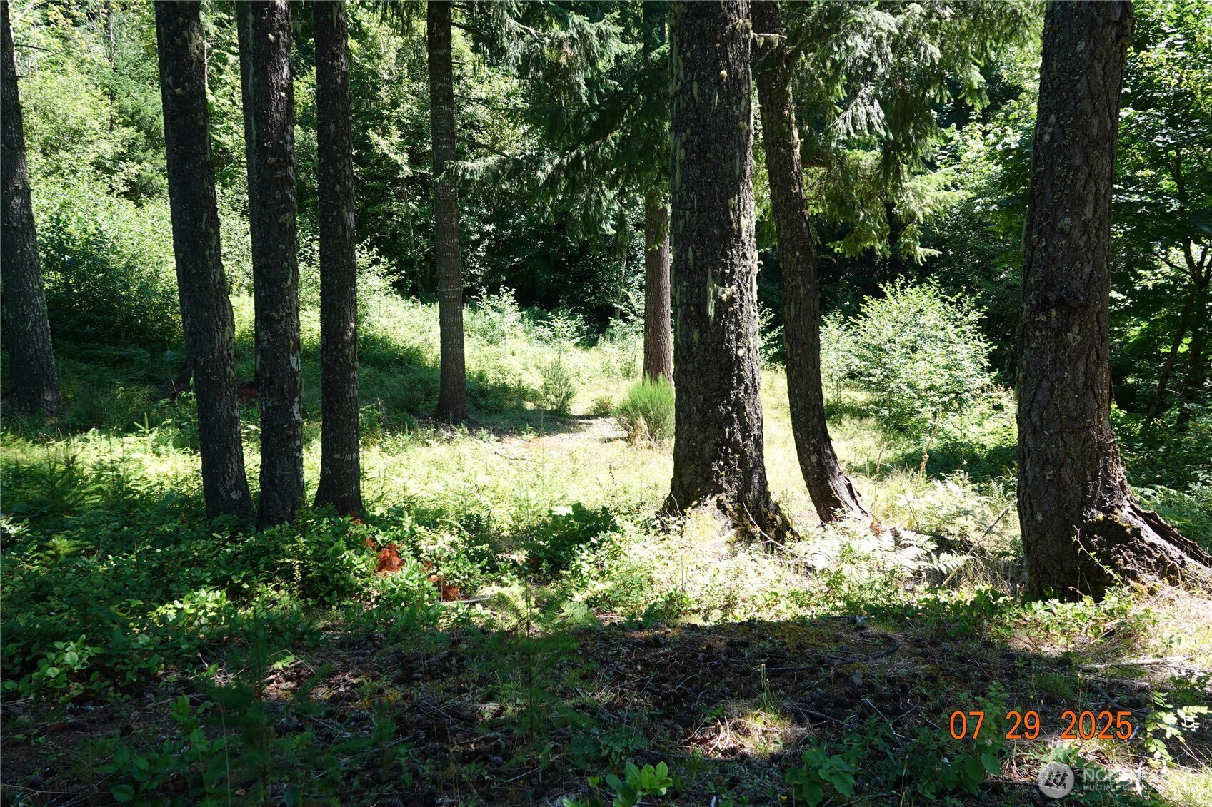 1 Duncan Creek Road Property Photo 19