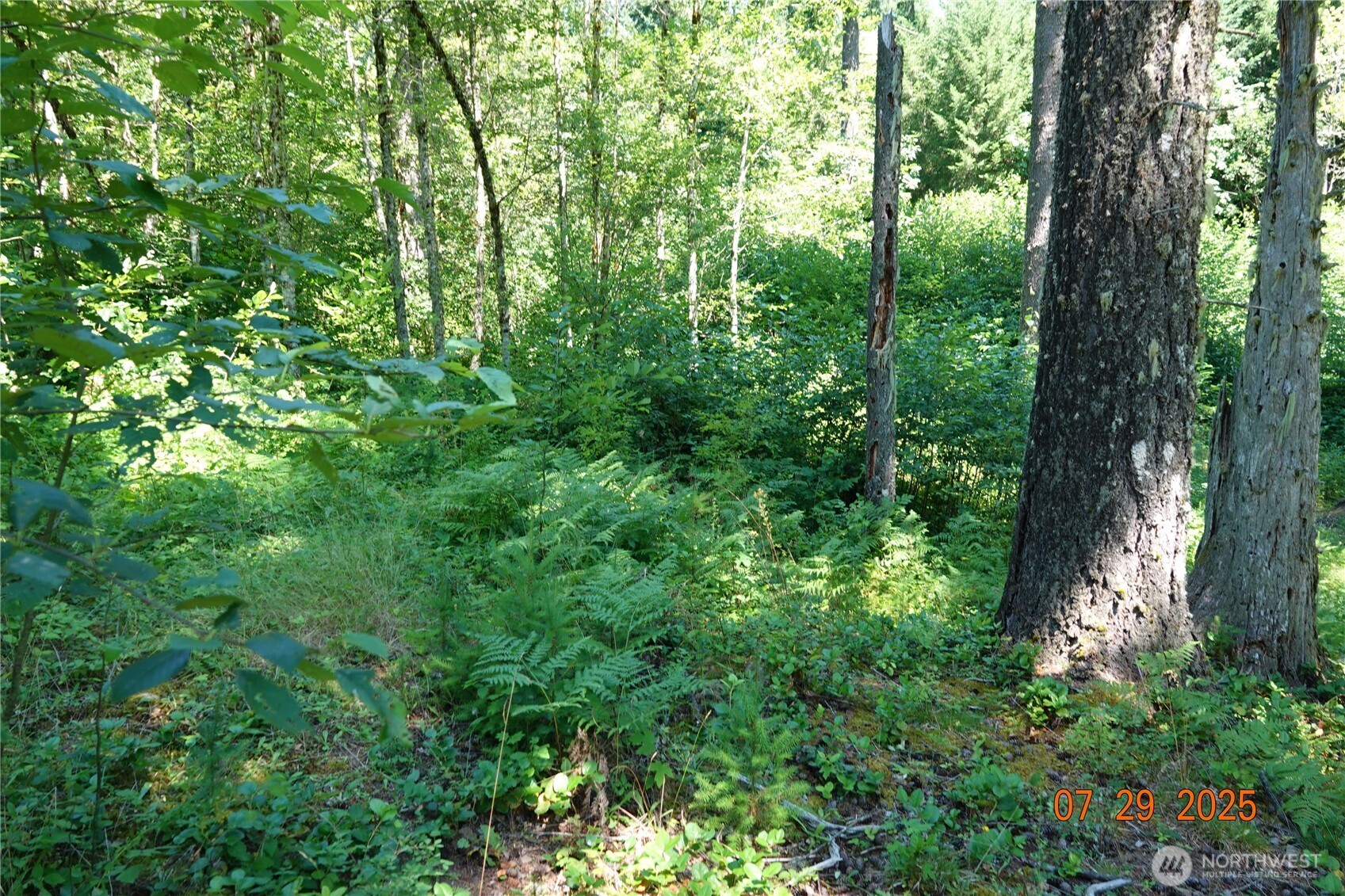 1 Duncan Creek Road Property Photo 20