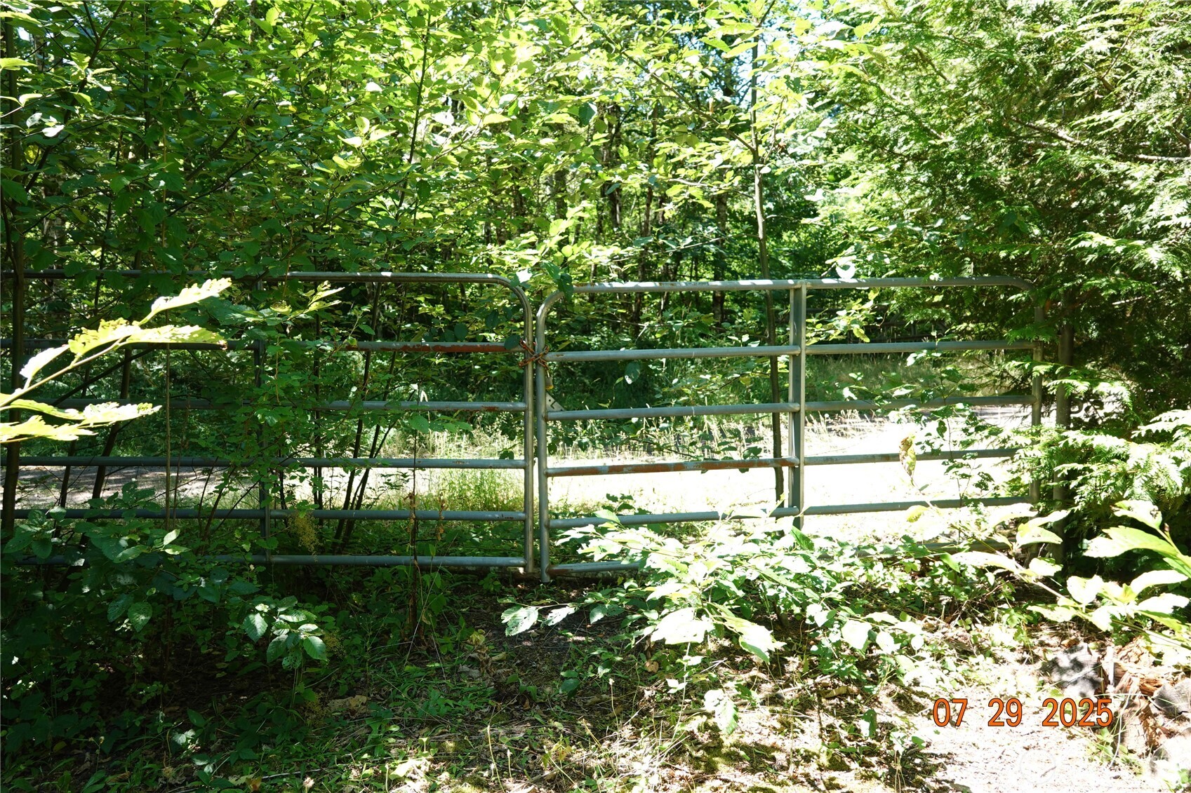 1 Duncan Creek Road Property Photo 21