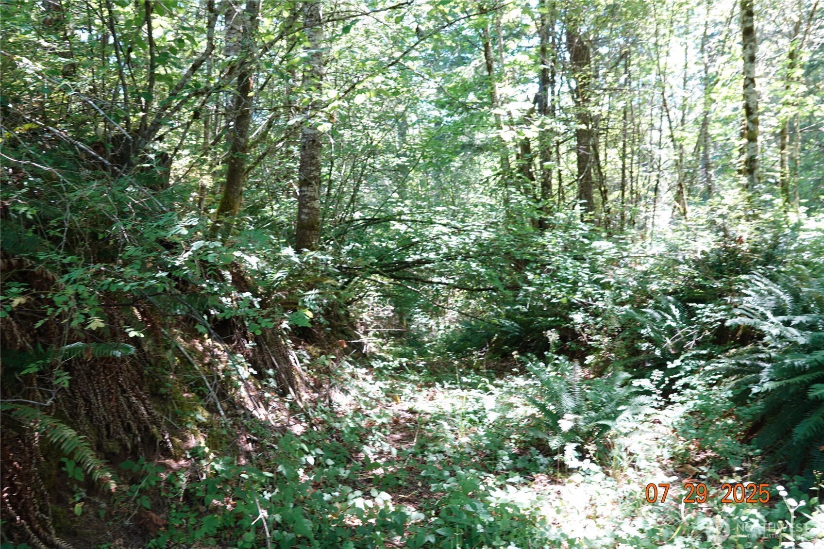 1 Duncan Creek Road Property Photo 22