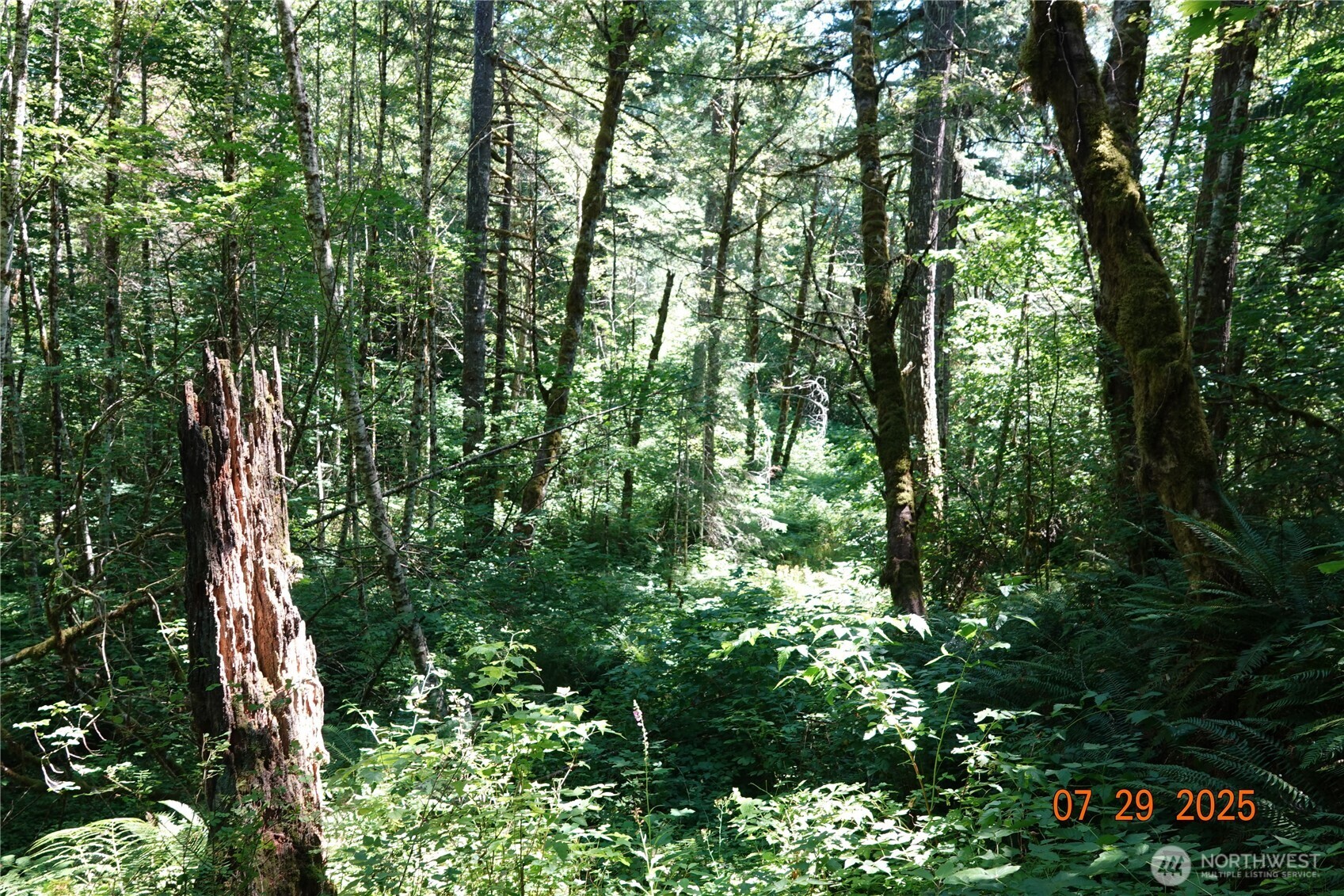 1 Duncan Creek Road Property Photo 23