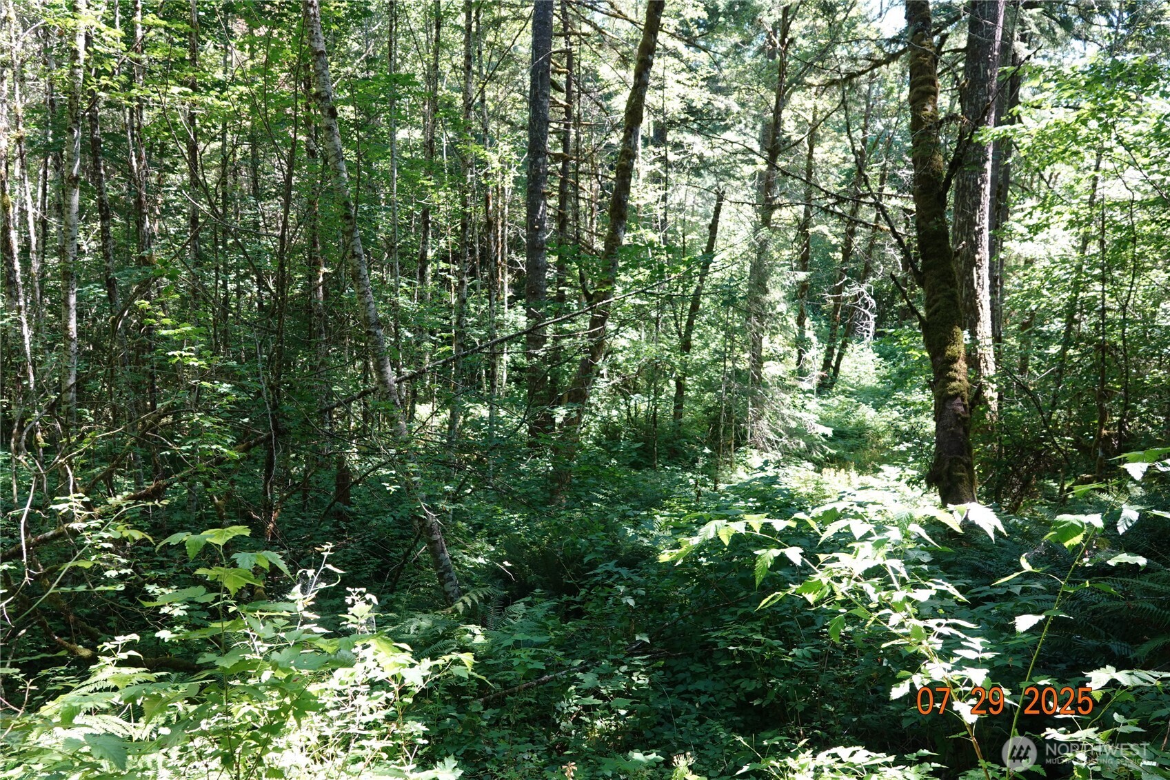 1 Duncan Creek Road Property Photo 24