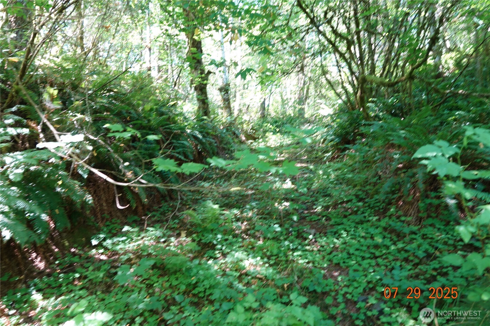 1 Duncan Creek Road Property Photo 25