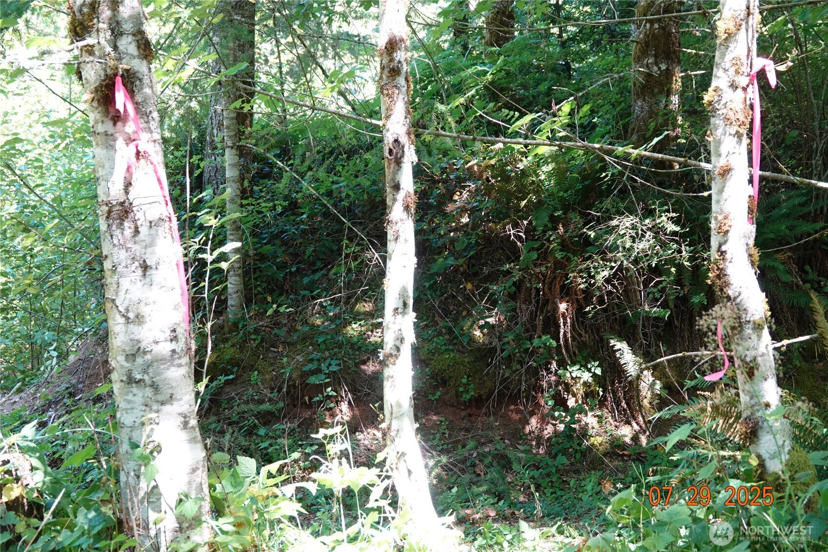1 Duncan Creek Road Property Photo 31