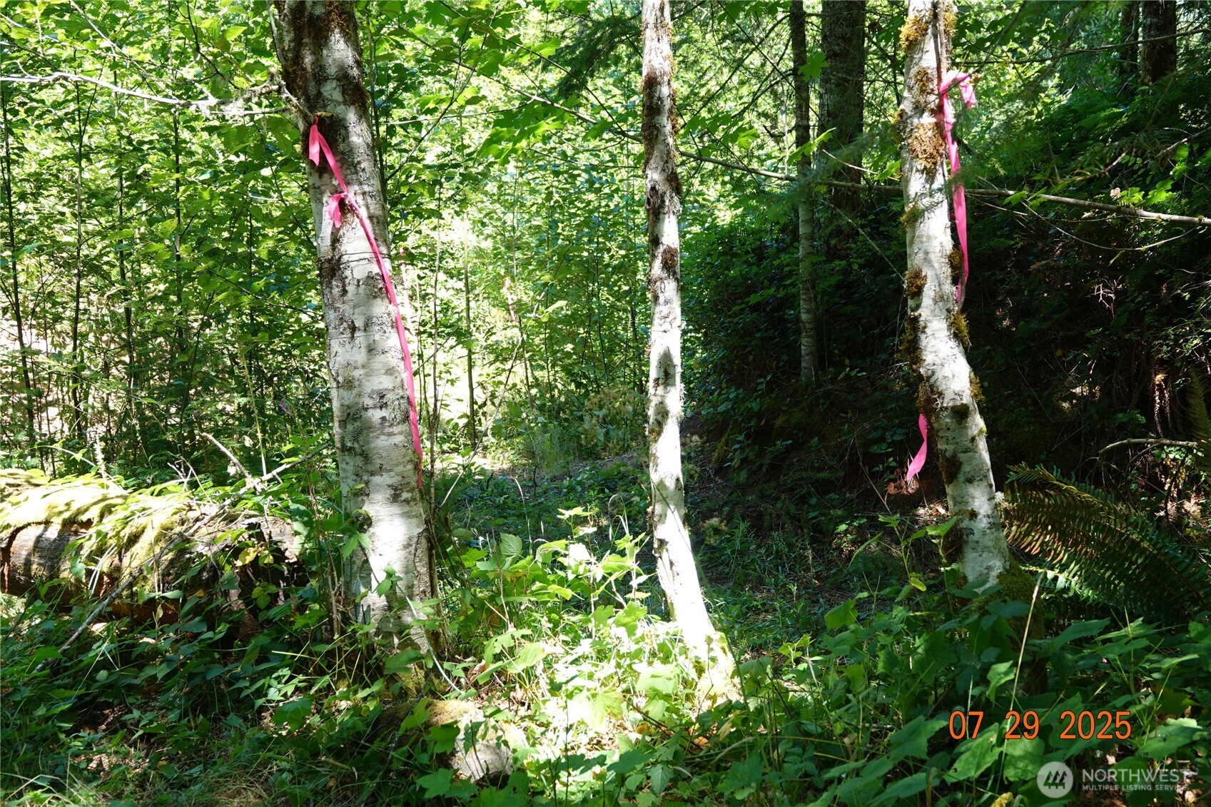 1 Duncan Creek Road Property Photo 32