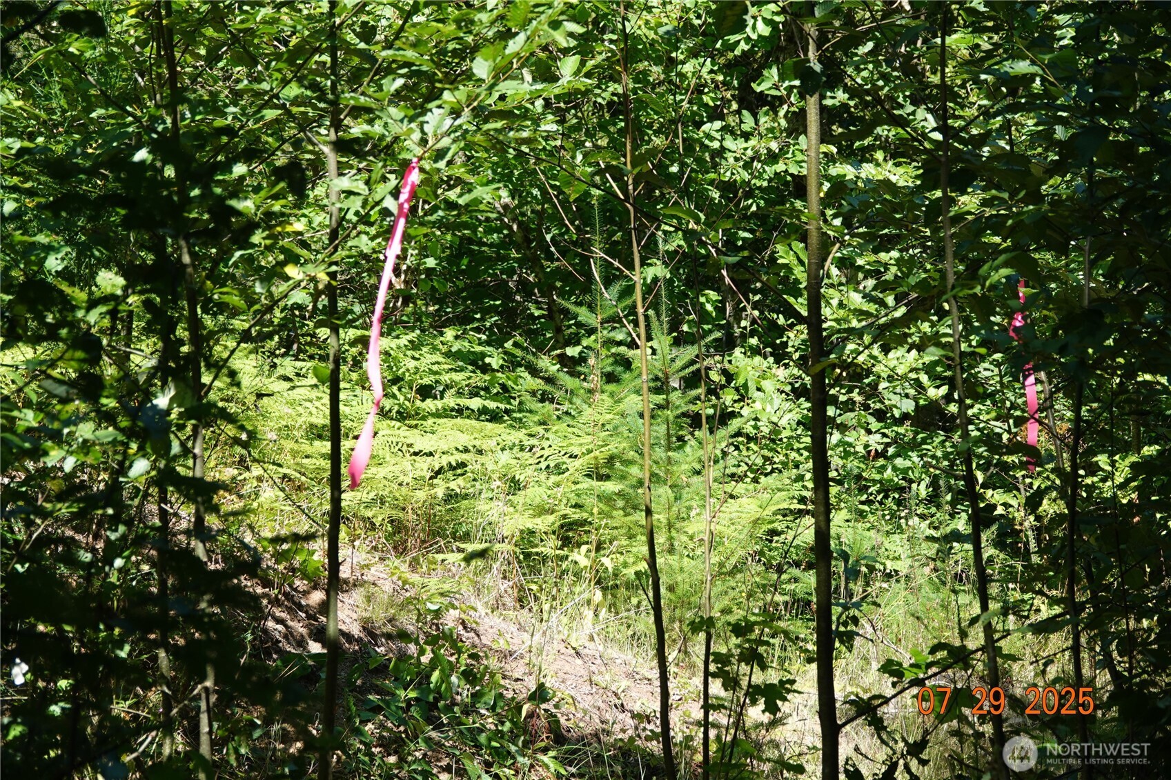 1 Duncan Creek Road Property Photo 33