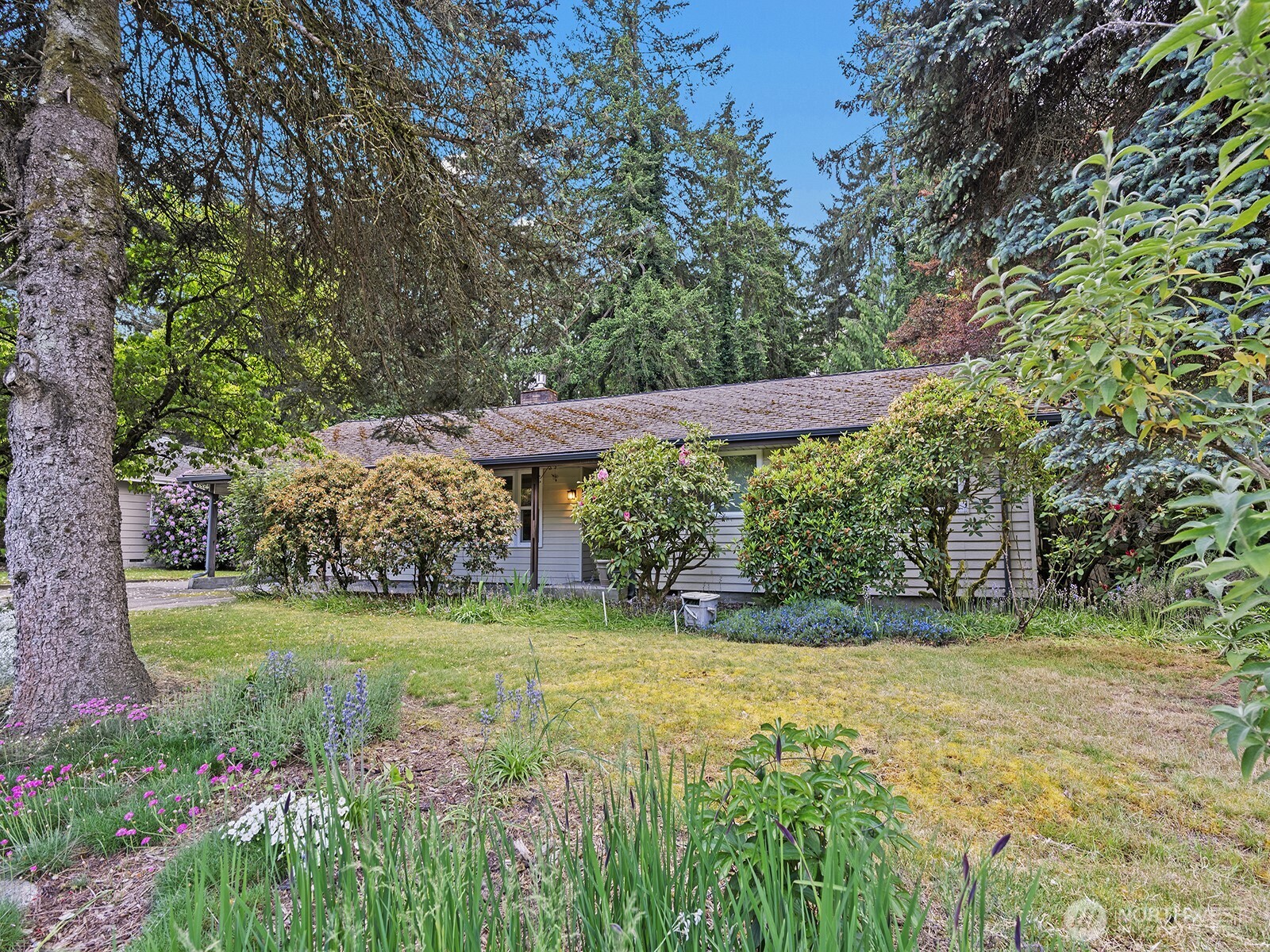 5059 119th Avenue Property Photo 1
