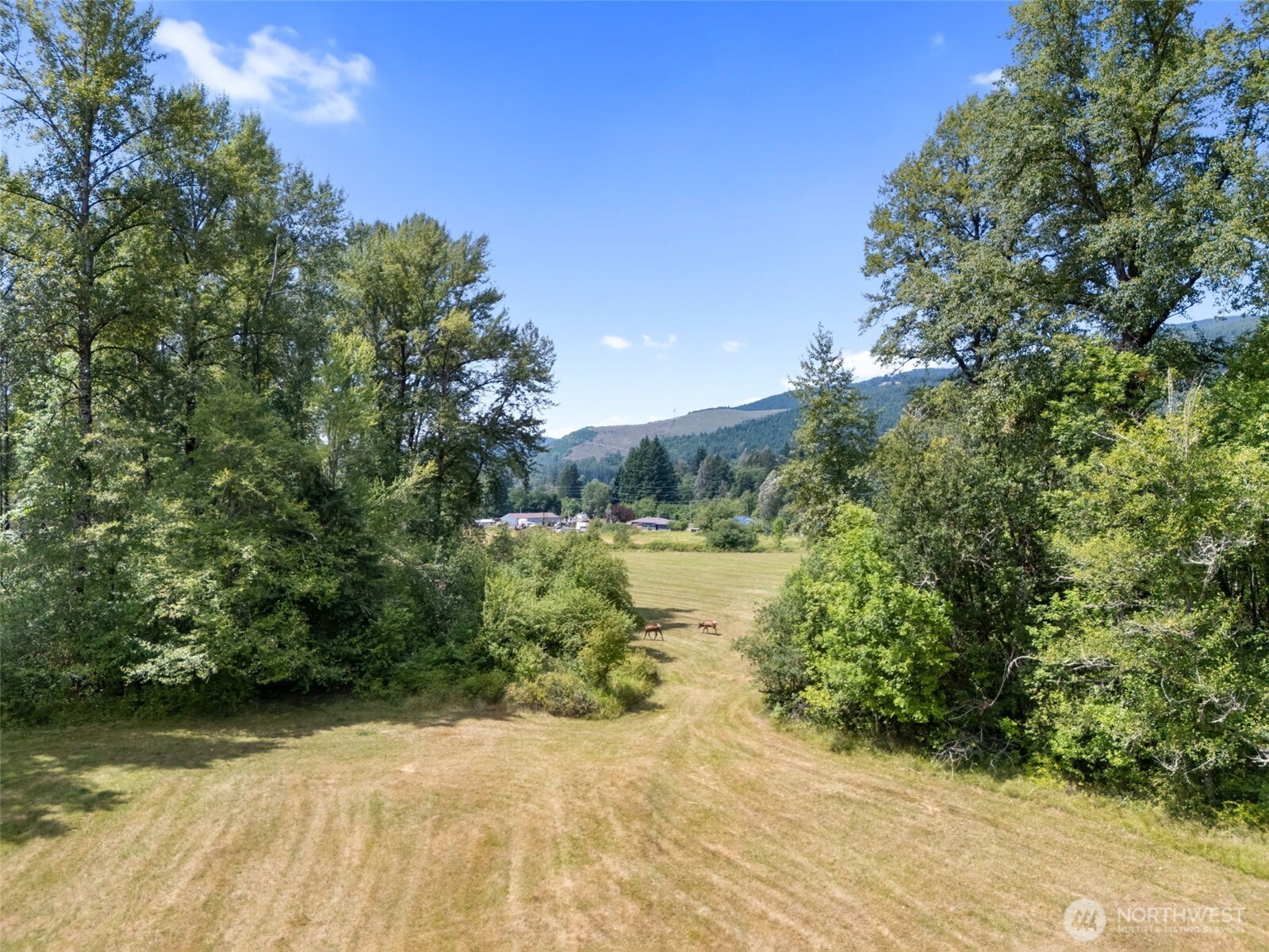 0 Xxx Us Hwy 12 Property Photo 14