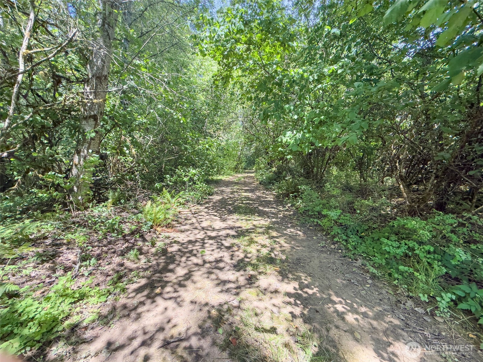 0 Xxx Us Hwy 12 Property Photo 24