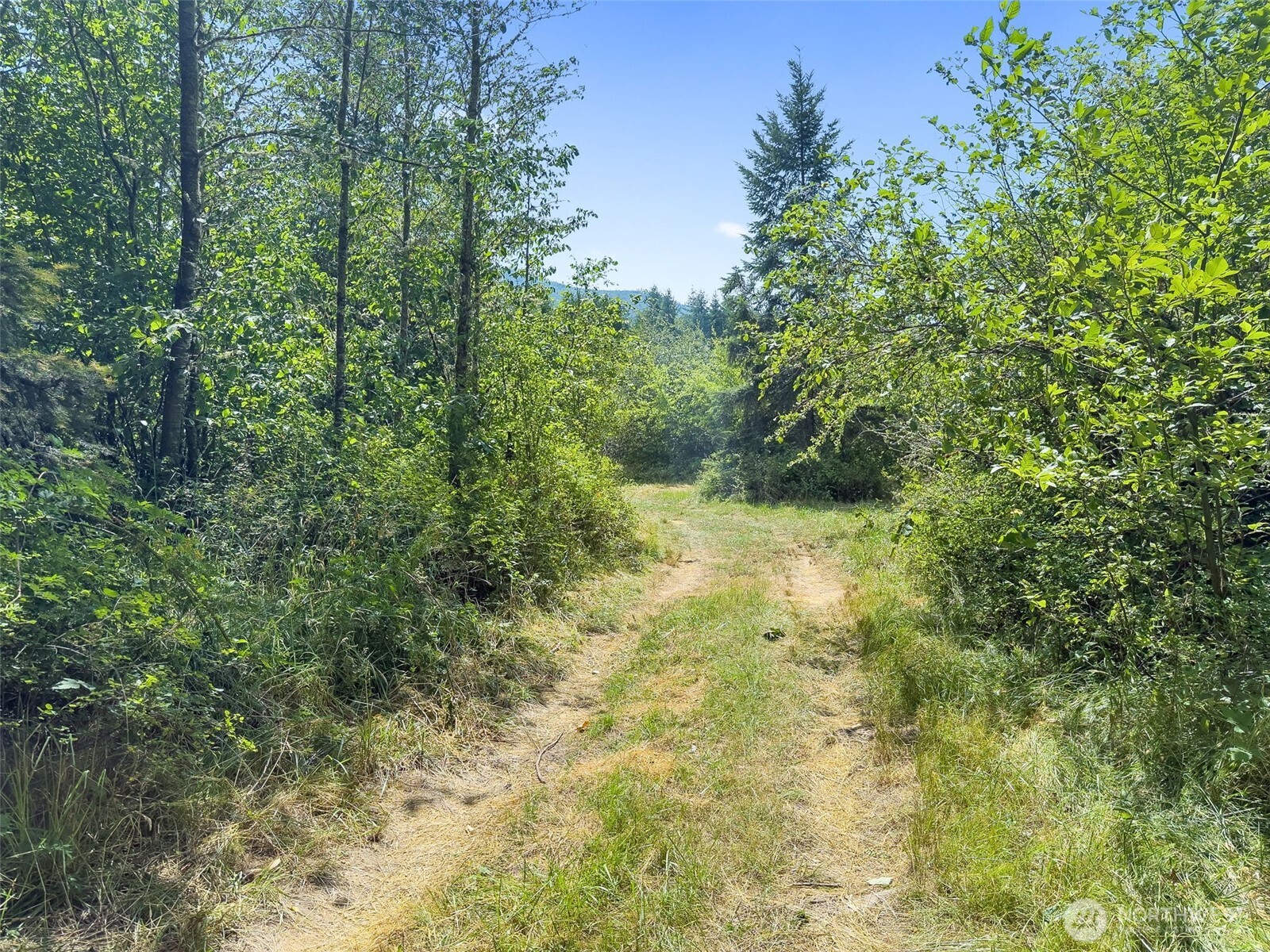 0 Xxx Us Hwy 12 Property Photo 25