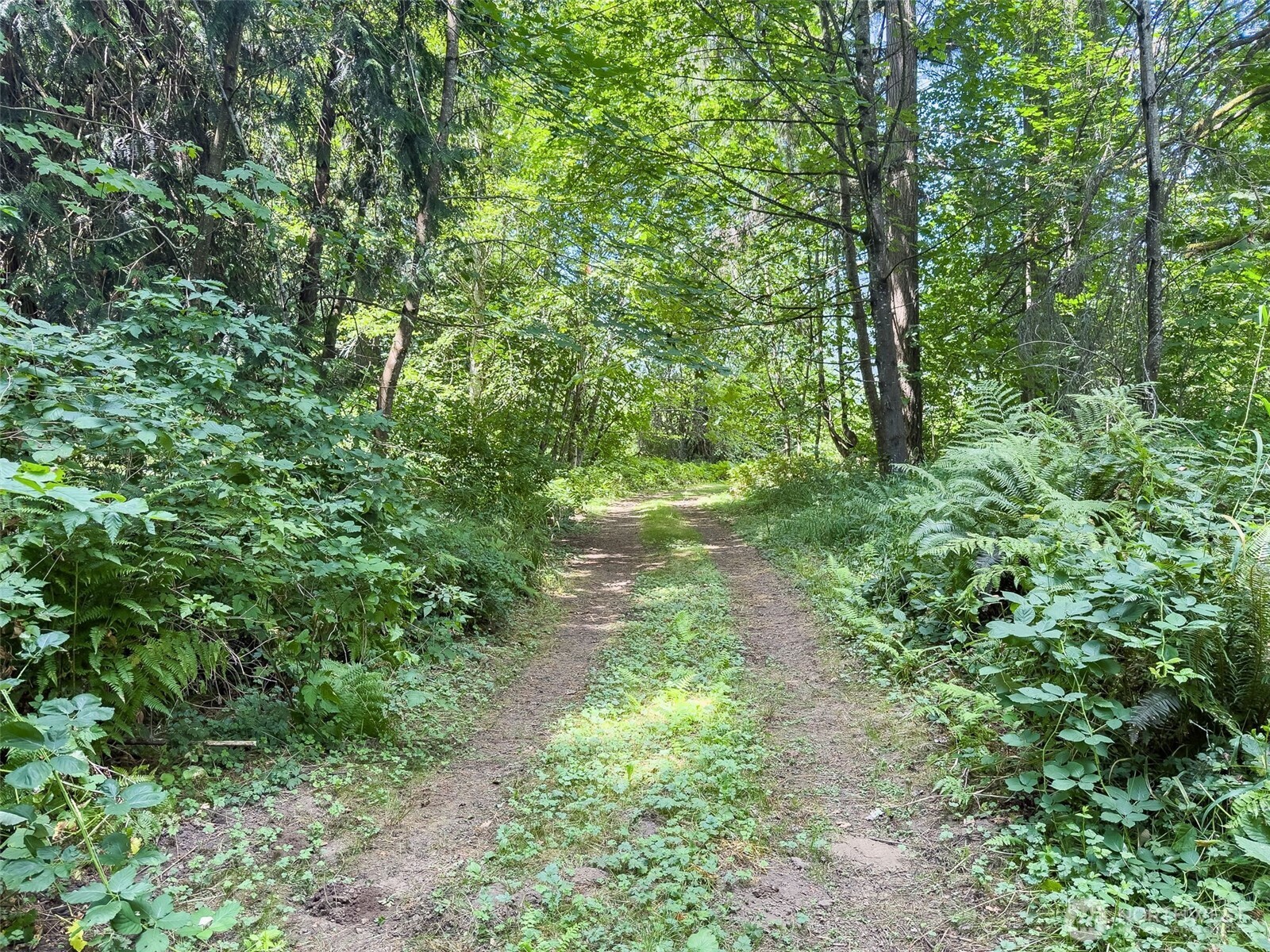 0 Xxx Us Hwy 12 Property Photo 26