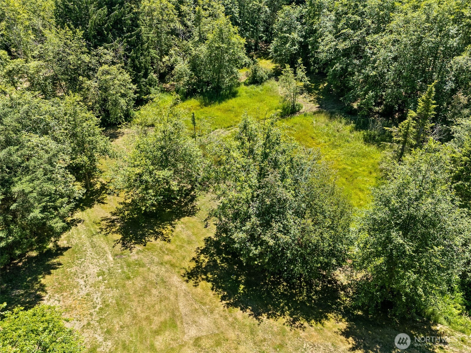 15901 Cedar Falls Road Property Photo 9