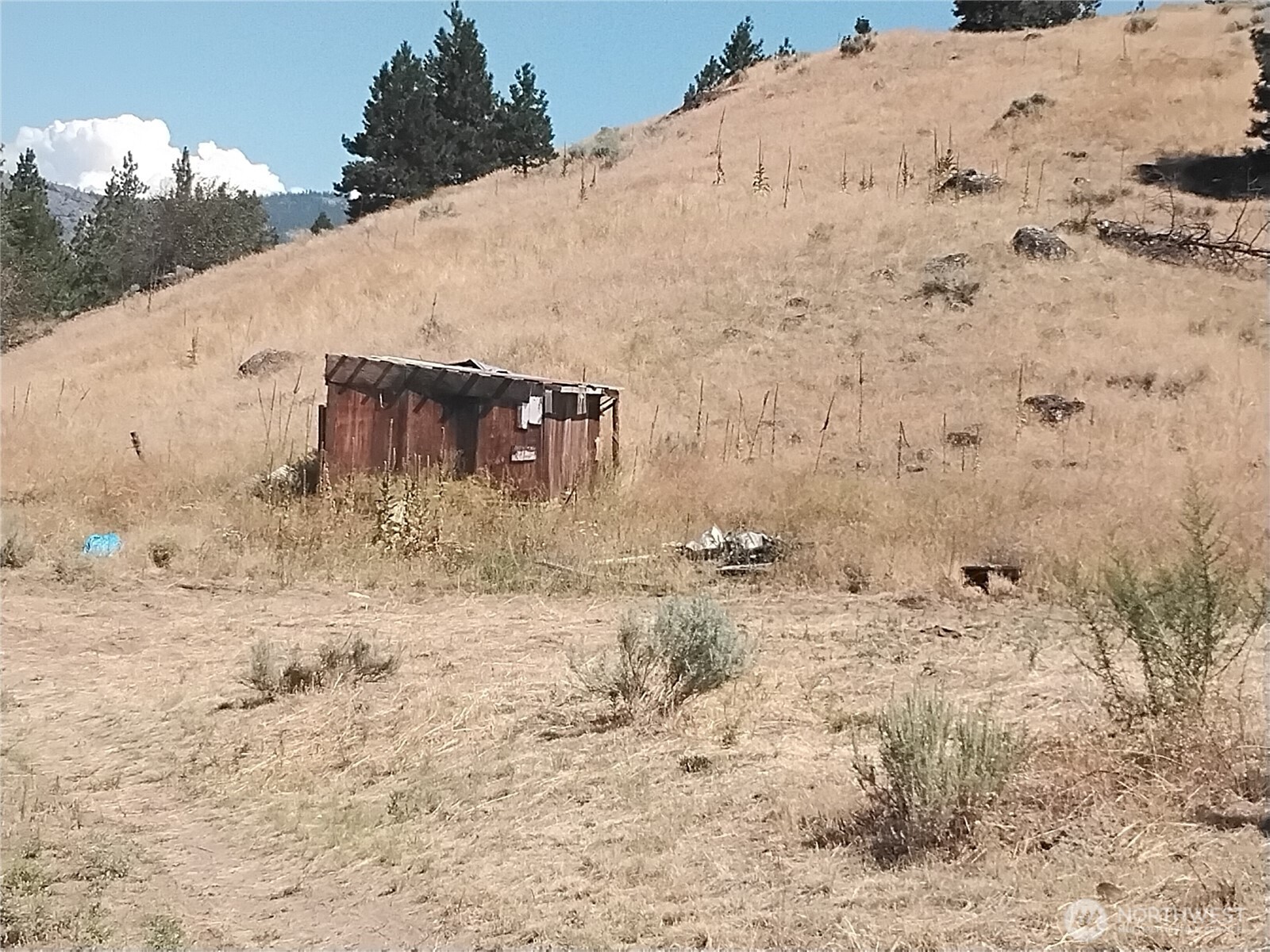 42 Corral Way-orr Property Photo 11