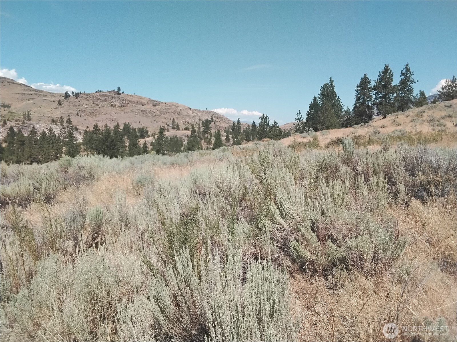 42 Corral Way-orr Property Photo 19