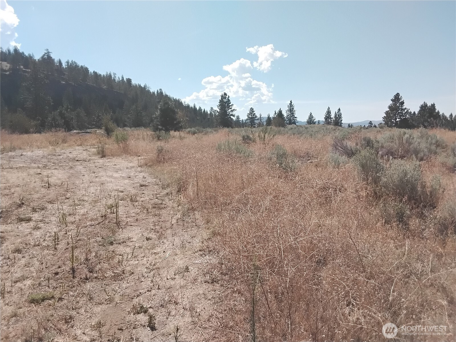42 Corral Way-orr Property Photo 25