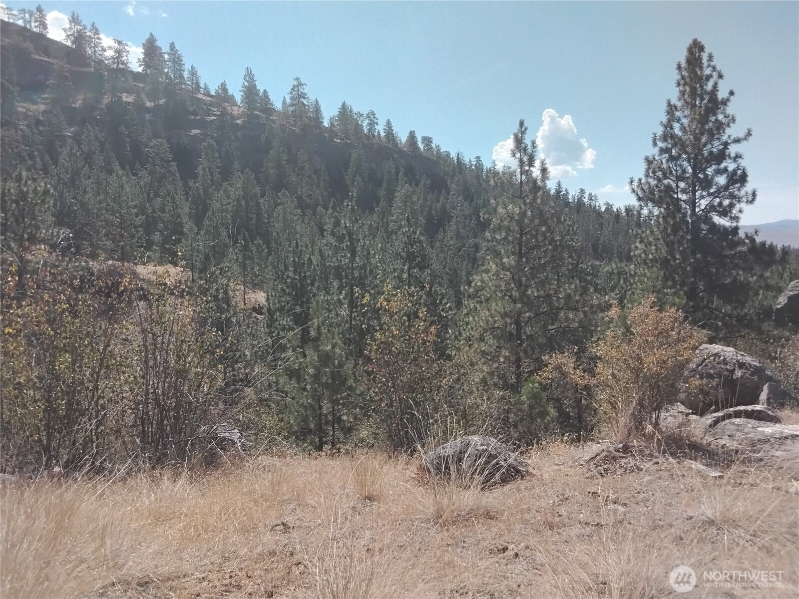 42 Corral Way-orr Property Photo 27