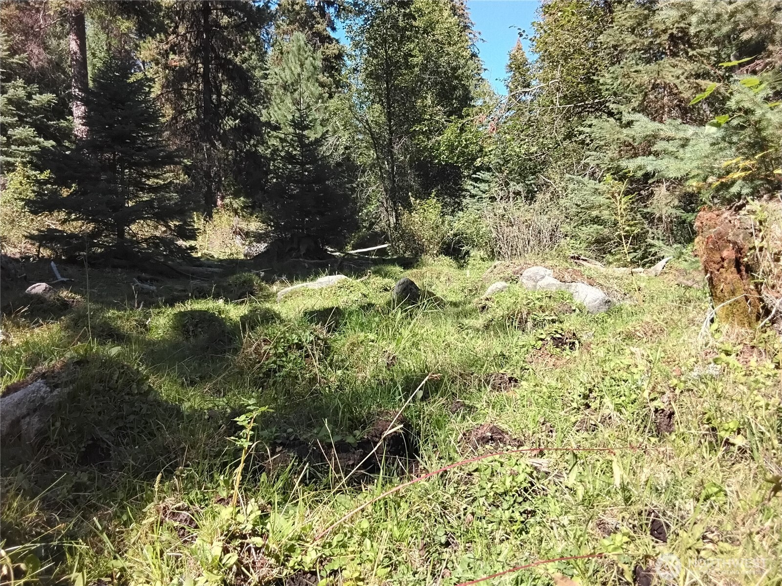 0 Little Place Road Property Photo 2