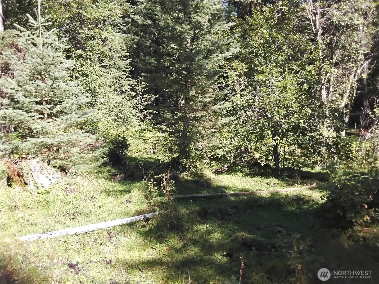 0 Little Place Road Property Photo 6