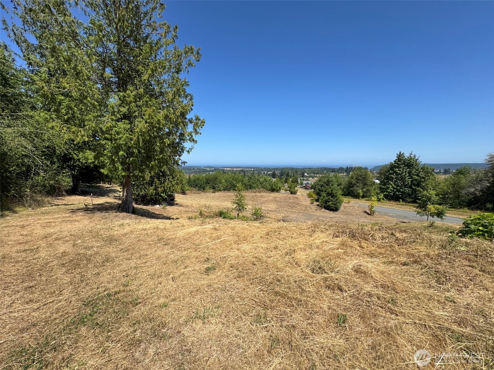 310 Solana Parkway Property Photo 9