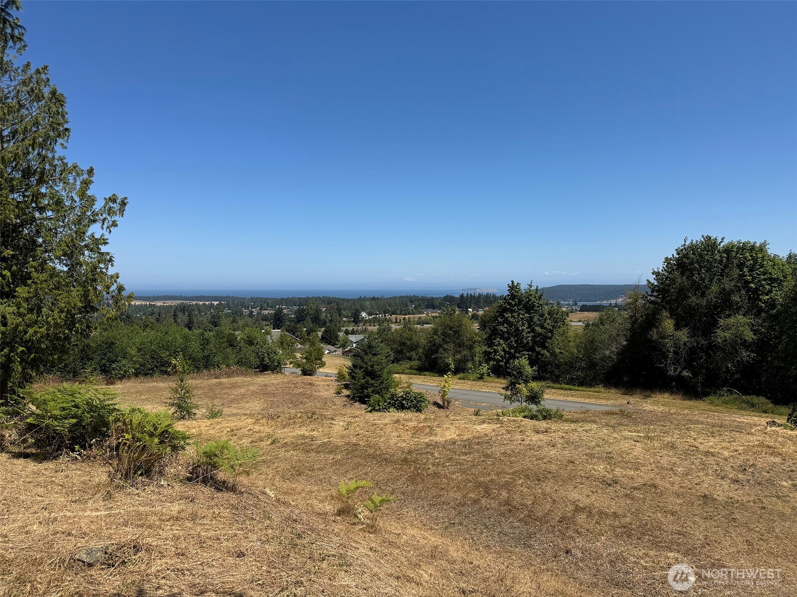 310 Solana Parkway Property Photo 17