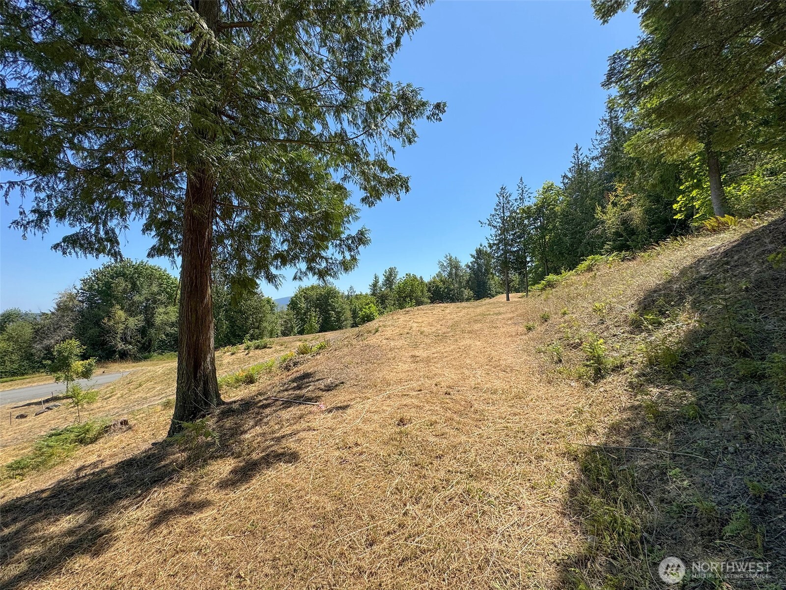 310 Solana Parkway Property Photo 22