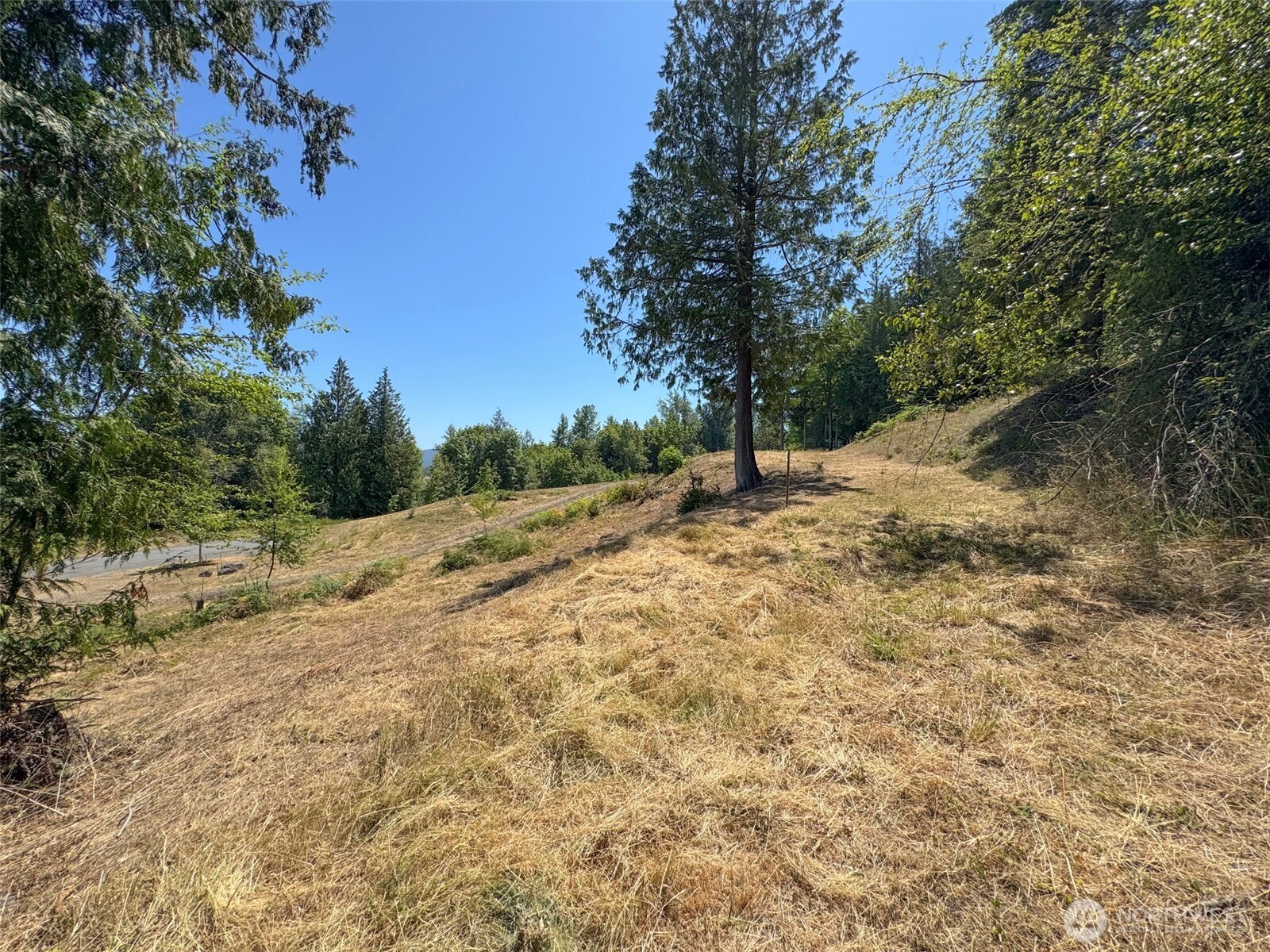 310 Solana Parkway Property Photo 23