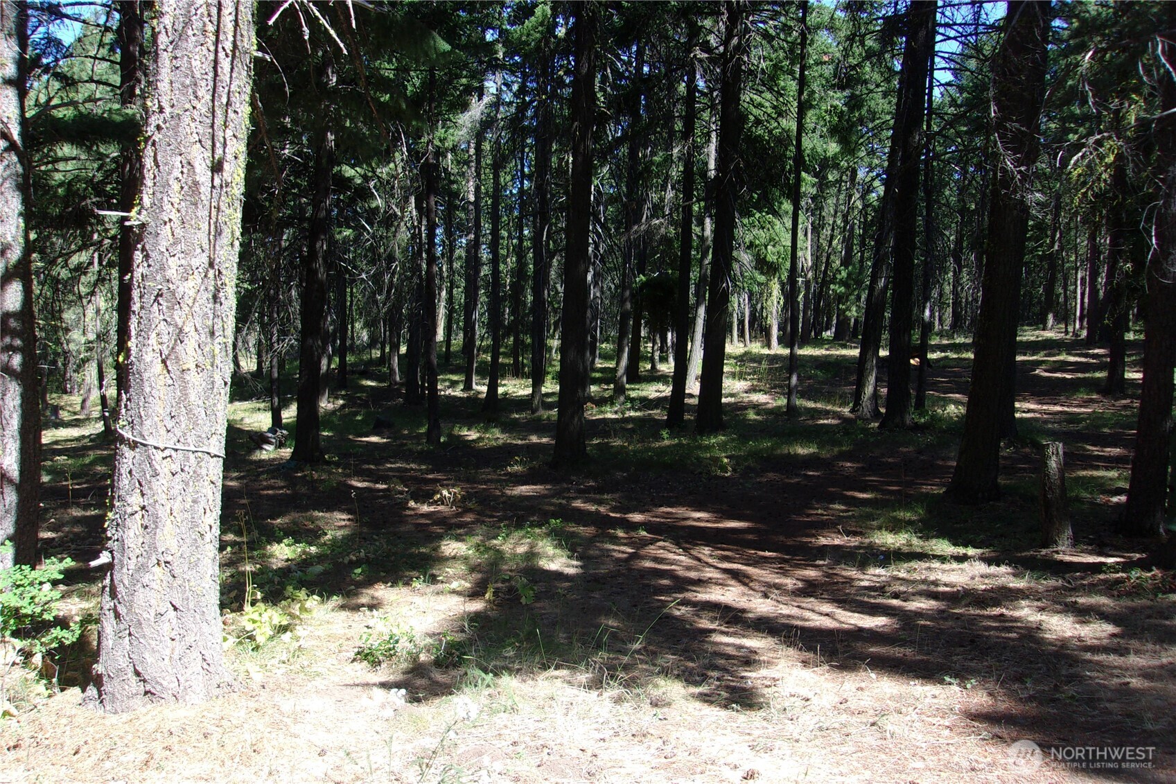 0 Elk Springs Road Property Photo 1