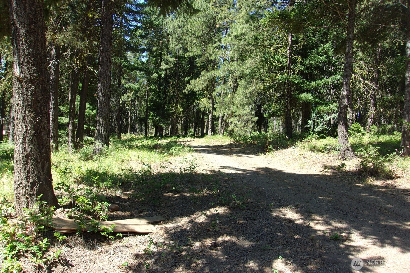 0 Elk Springs Road Property Photo 2