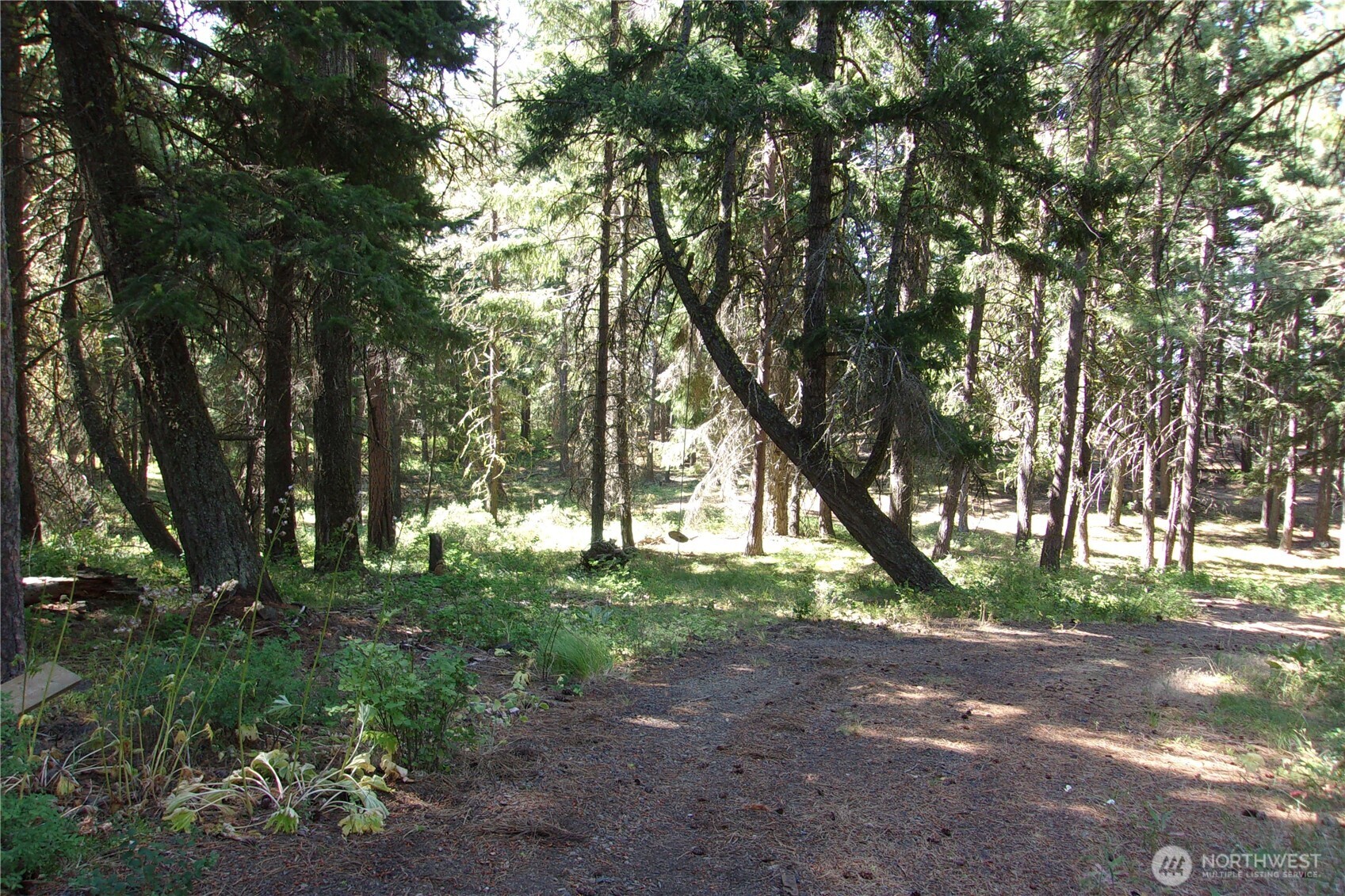 0 Elk Springs Road Property Photo 6