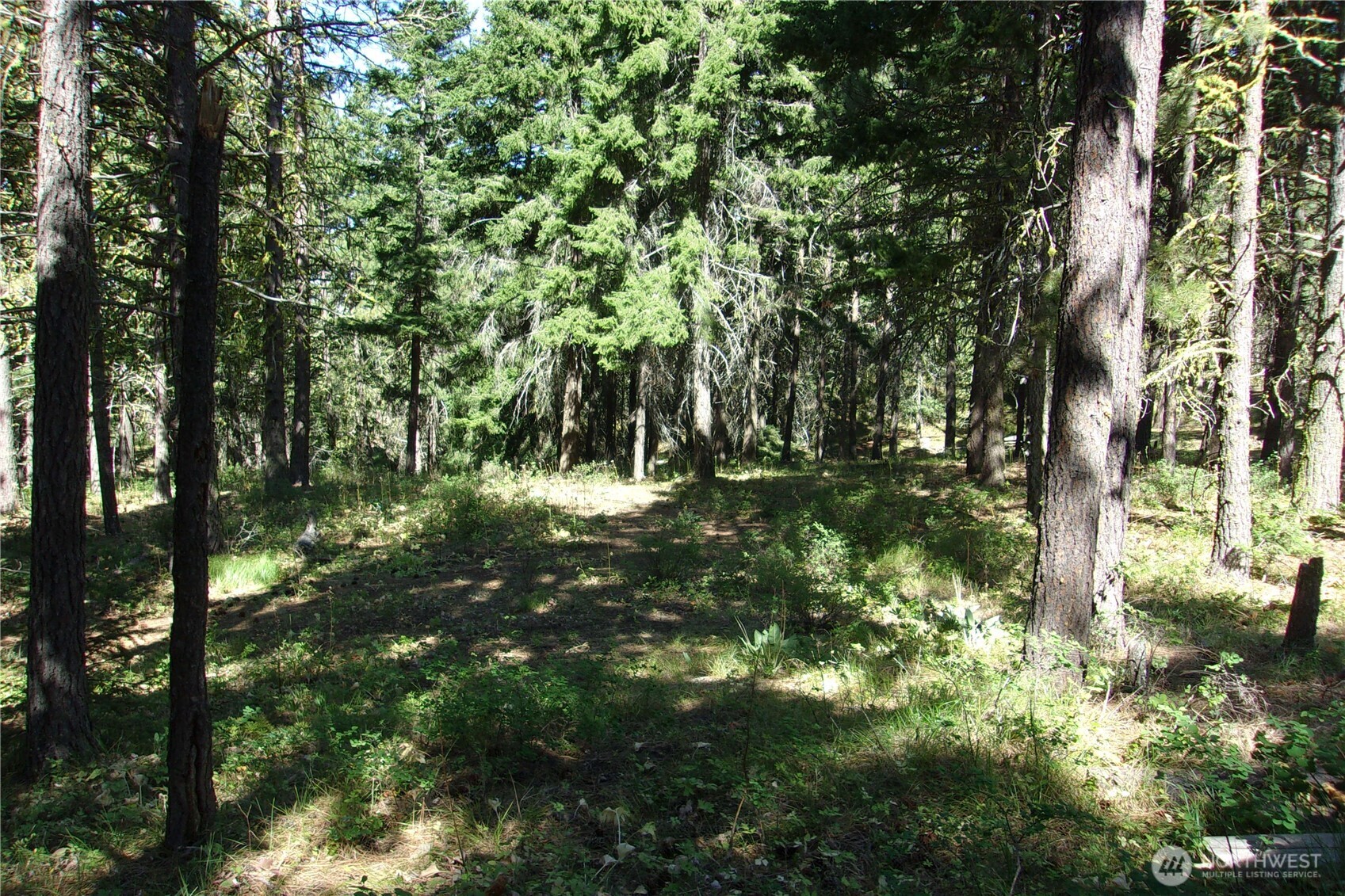 0 Elk Springs Road Property Photo 17
